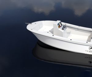 Tasman 50 cut_upscayl_2x_ultrasharp